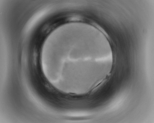 X0000112971151200910081040