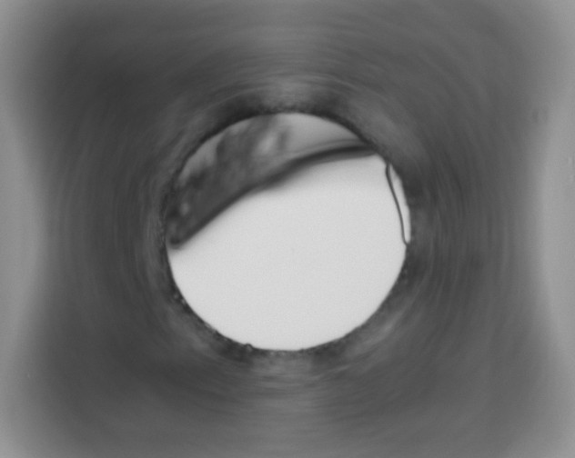X0000112971153200910081040