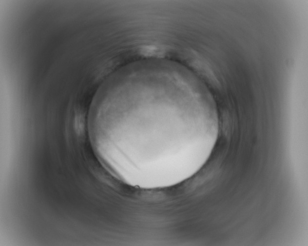 X0000112971154200910081040