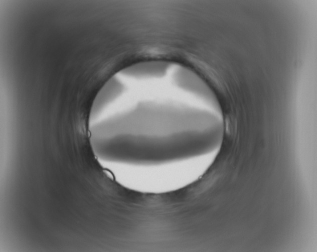 X0000112971155200910081040