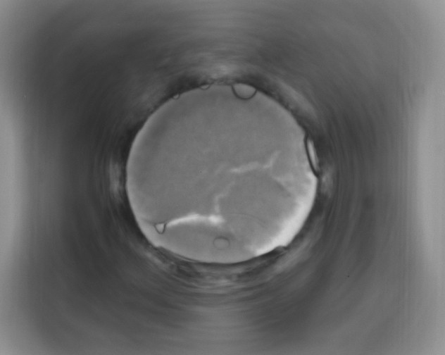 X0000112971156200910081040