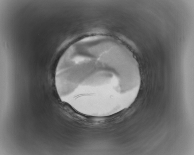 X0000112971160200910081040