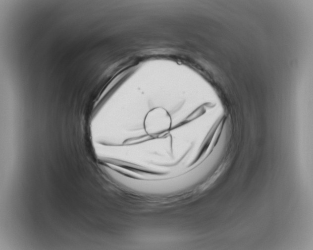 X0000112971161200910081040