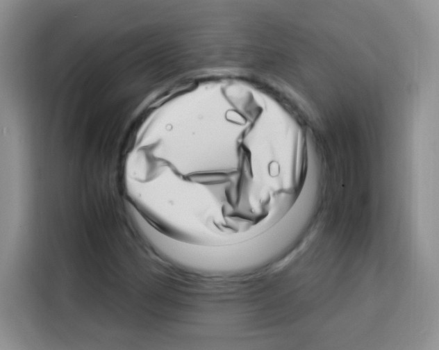 X0000112971162200910081040