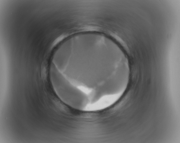 X0000112971163200910081040