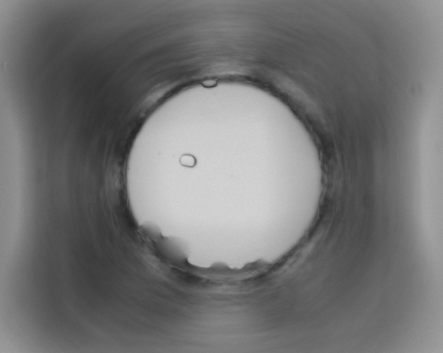 X0000112971169200910081039