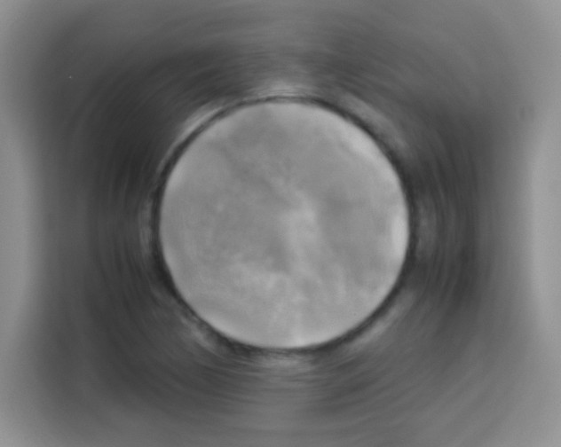 X0000112971170200910081039