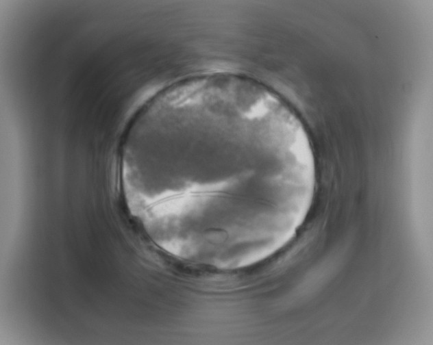 X0000112971171200910081039