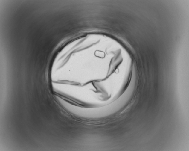 X0000112971173200910081039