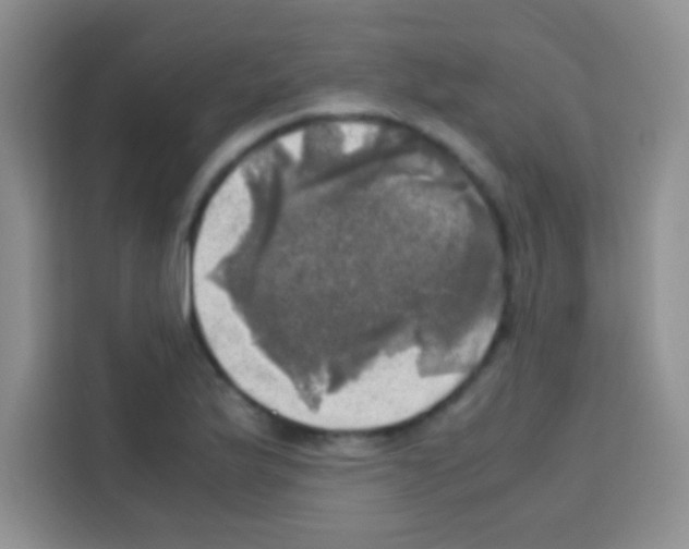 X0000112971175200910081039