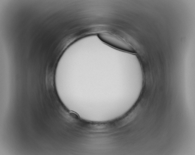 X0000112971177200910081039