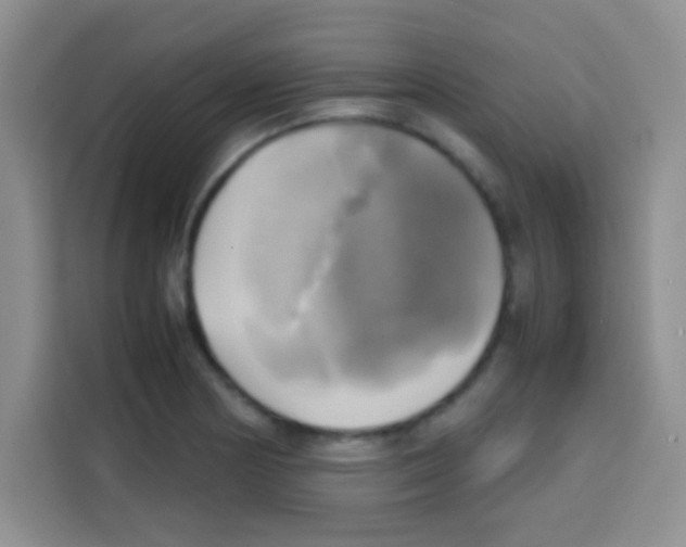 X0000112971178200910081039