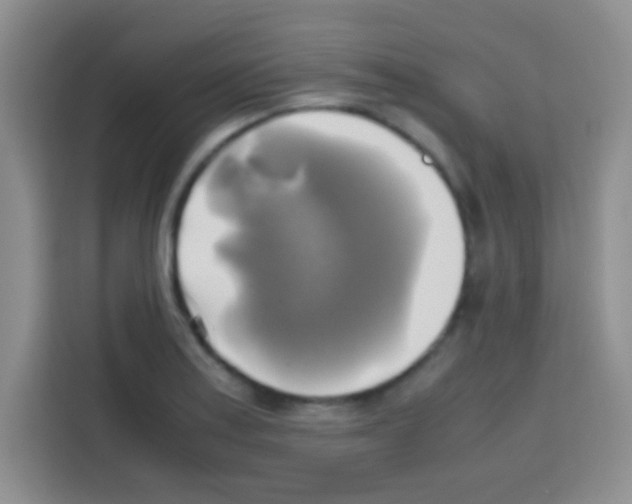 X0000112971179200910081039