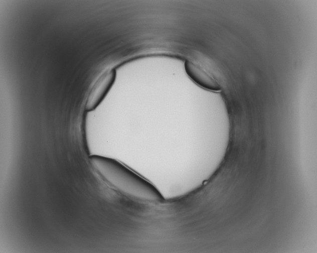 X0000112971181200910081039
