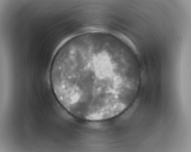 X0000112971182200910081039