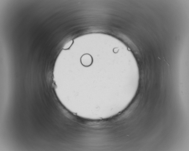 X0000112971185200910081039