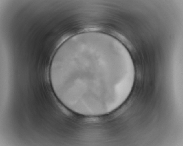 X0000112971186200910081039