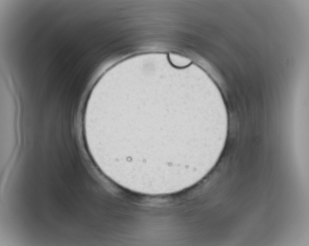 X0000112971187200910081039