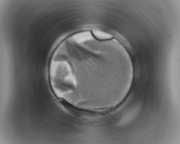 X0000112971188200910081039