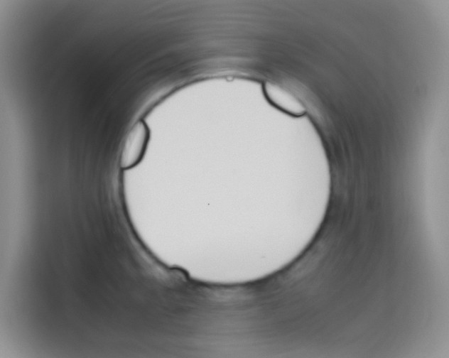 X0000112971189200910081039