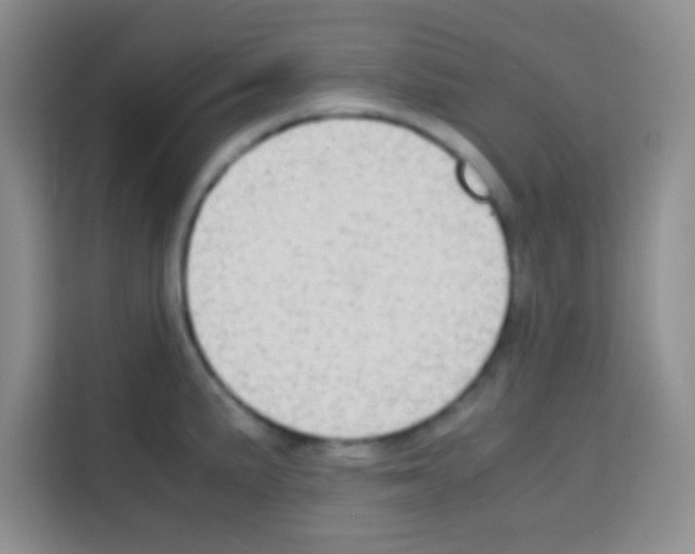 X0000112971191200910081039