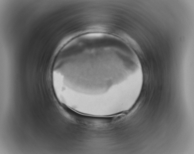 X0000112971192200910081039