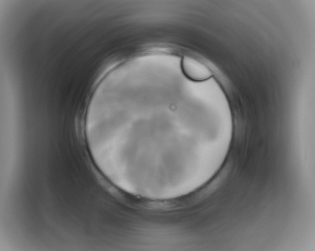 X0000112971194200910081039