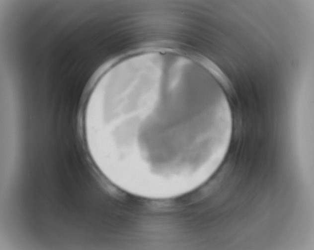 X0000112971196200910081039