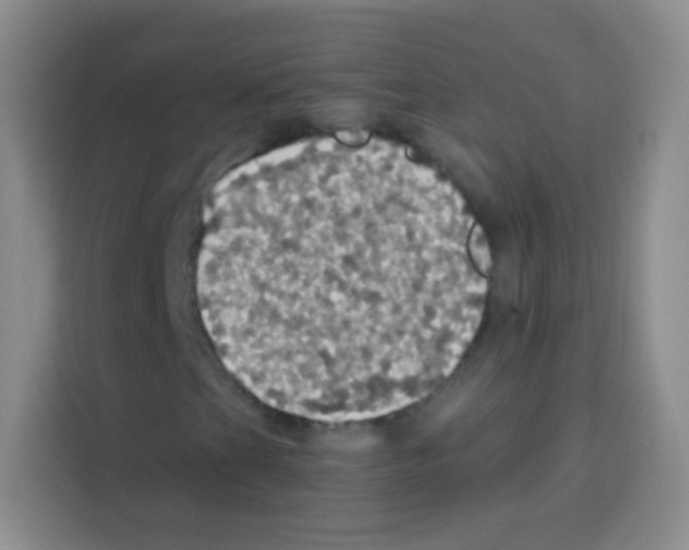 X0000112971201200910081038