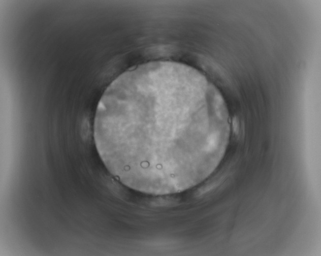 X0000112971203200910081038