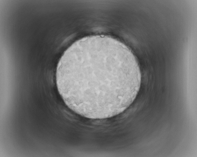 X0000112971205200910081038