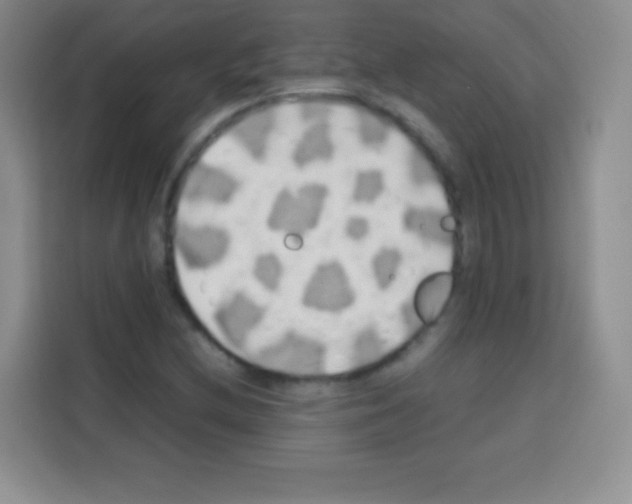 X0000112971212200910081039