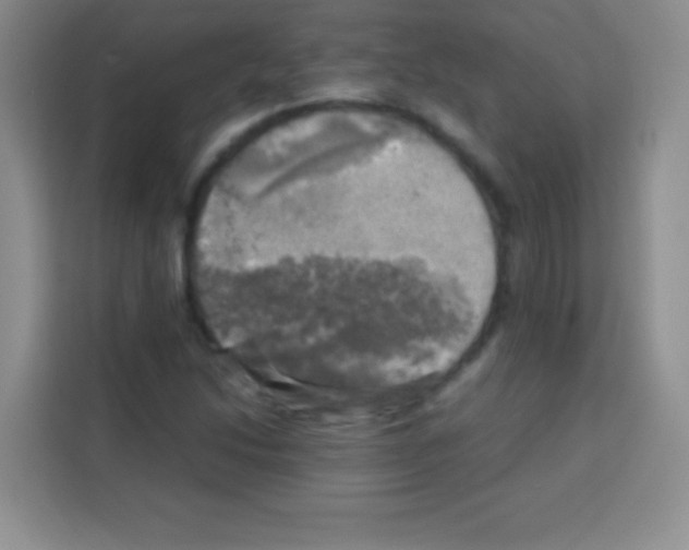 X0000112971214200910081039