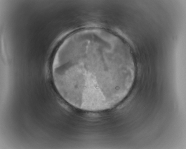 X0000112971215200910081039