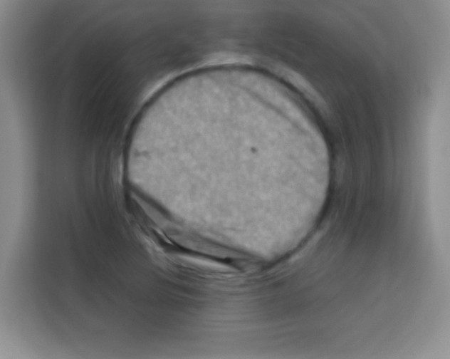 X0000112971220200910081039