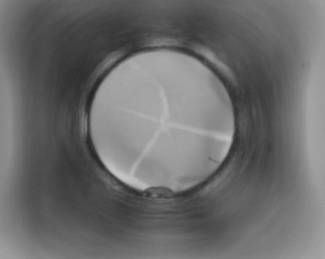X0000112971221200910081039