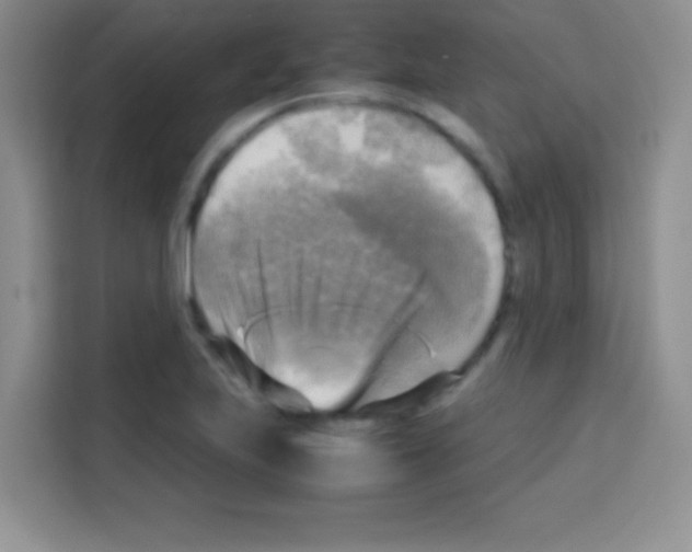 X0000112971223200910081039
