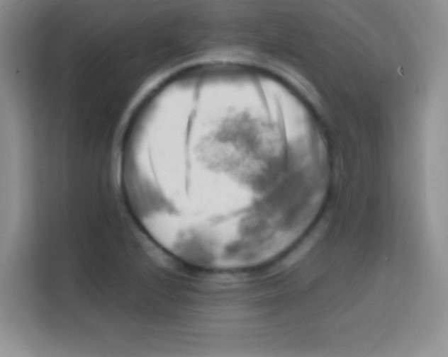 X0000112971224200910081039