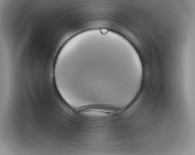 X0000112971226200910081039