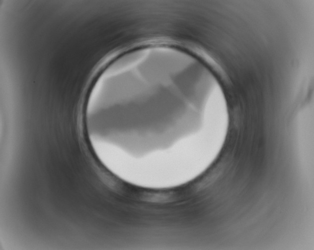 X0000112971229200910081039
