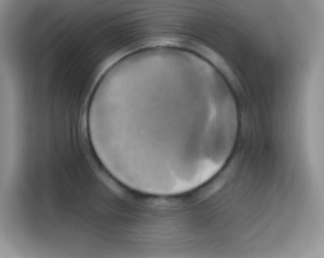 X0000112971234200910081039