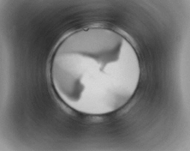 X0000112971235200910081039