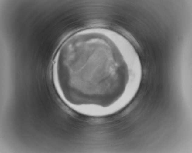X0000112971236200910081039