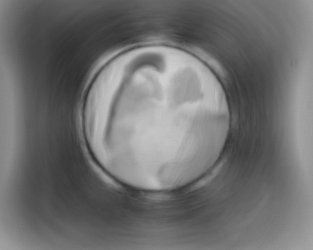 X0000112971239200910081039