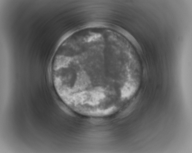 X0000112971242200910081039