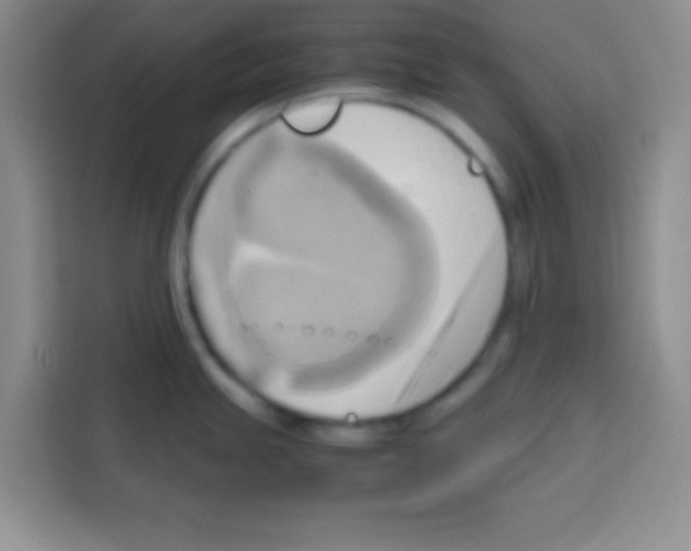 X0000112971245200910081039