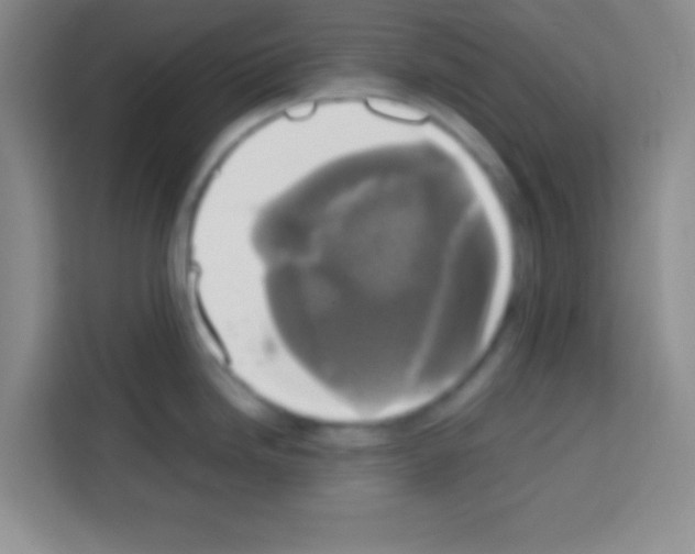 X0000112971246200910081039