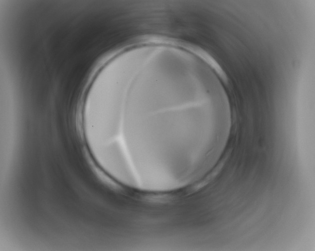X0000112971247200910081039