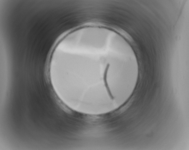 X0000112971248200910081039
