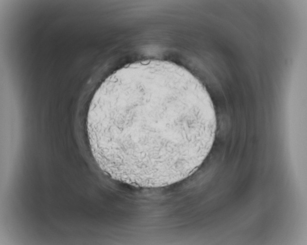X0000112971249200910081038